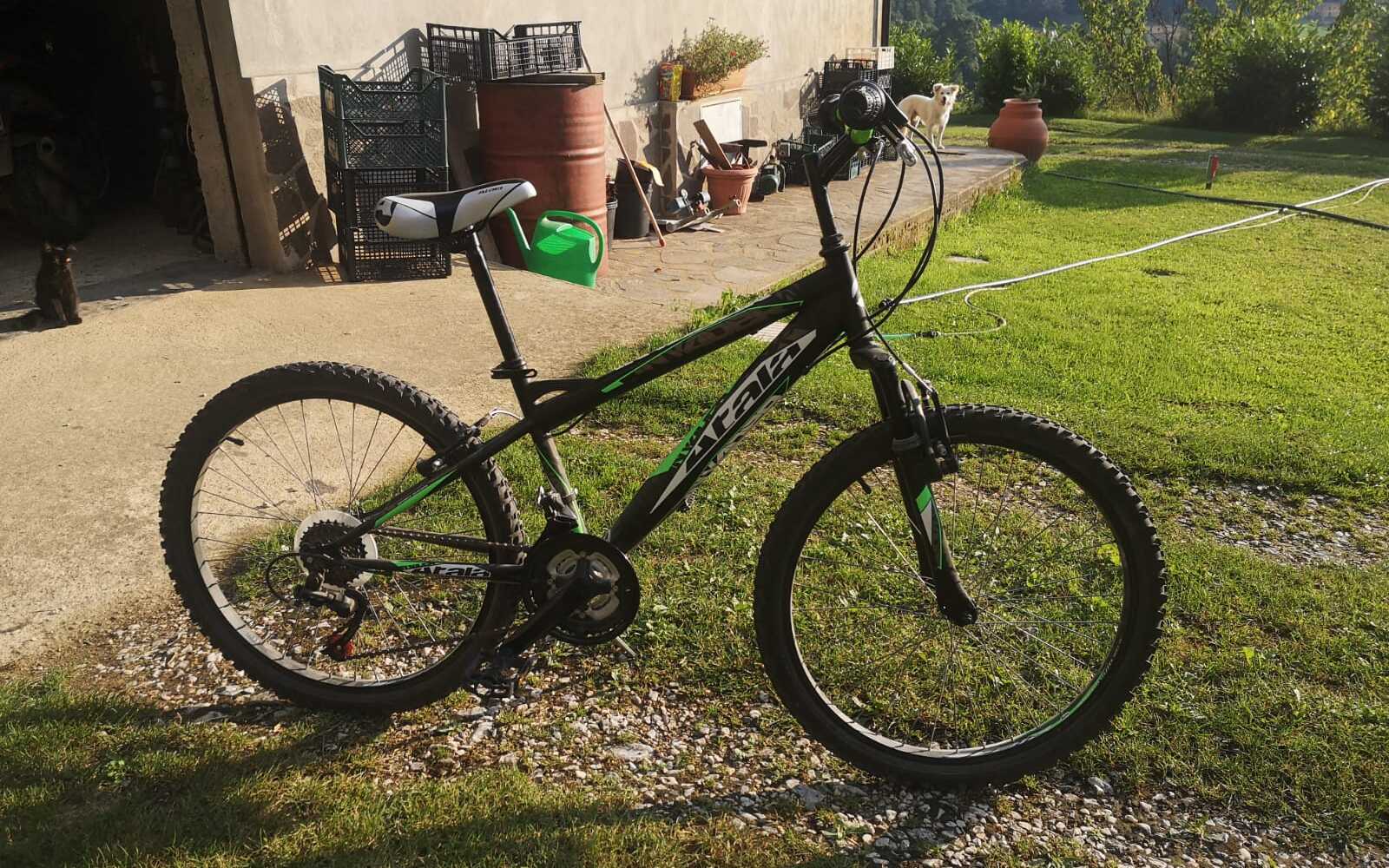 Mountain Bike Atala Crossfire, Usata, 2021, Catanzaro