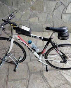 Cerca bicicletta Torpado usata o km0