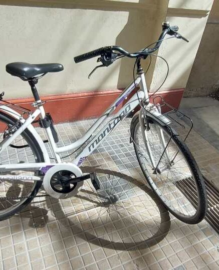 Cerca bicicletta Montana usata o km0