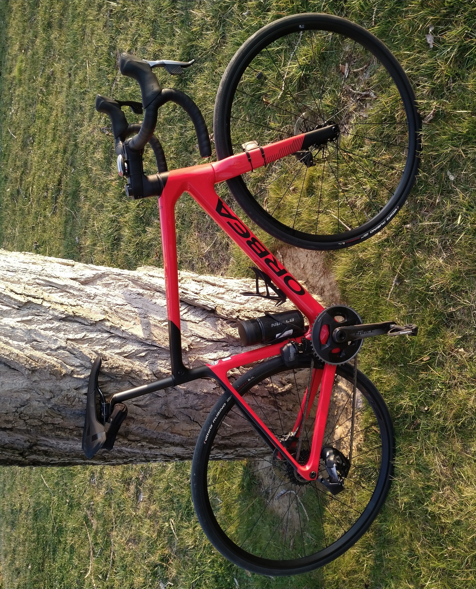 Biciclette in Emilia-Romagna - Vendi, noleggia, trova bici su BIKEEN
